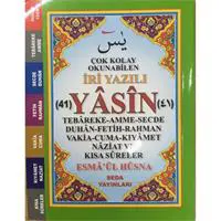 Çok Kolay Okunabilen İri Yazılı 41 Yasin (Çanto Boy, Kod: 165)
