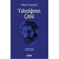 Yalnızlığımın Çinisi