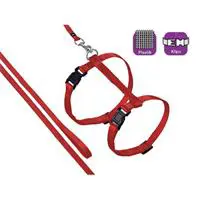 ofix-product-image-0