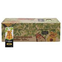 Cappy Meyve Suyu Kayısı Nektarı 200 ml x 27 Adet