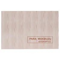 Dilman Para Makbuzu Otokopili 2 Nüshalı 13.3 x 19.3 cm - 2 x 50 Yaprak