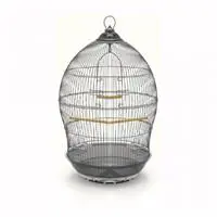 ofix-product-image-0