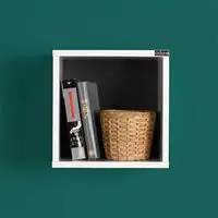 ofix-product-image-0