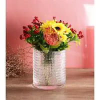 ofix-product-image-0