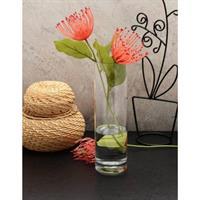 Paşabahçe 43767 Botanica Vazo 