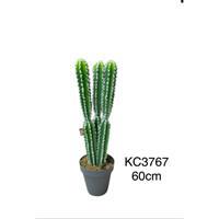Yapay Kaktüs KC3767 60 CM 