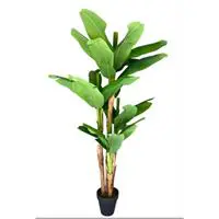 Yapay Areka KC3878 180 Cm 