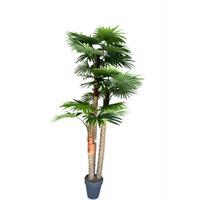 Yapay Palmiye KC3886 280 Cm 