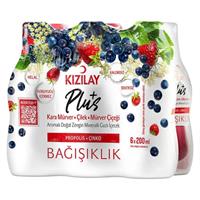 Kızılay Plus Kara Mürver & Çilek & Mürver Çiçeği Aromalı Maden Suyu 200 ml x 24 Adet