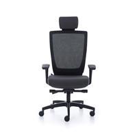 Hoomy Pl-Trf B 06 P  Yönetici Koltuğu