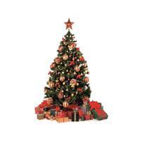 210 Cm 720 Dal Yapay Yılbaşı Ağacı