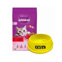Whiskas Biftekli Kedi Maması 1.4 kg Alana Ofix Kedi Köpek Mama Kabı Plastik - 0.50 L Hediye