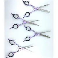Sgroom 4 Lü Çantalı Makas Set 6,5" Mor
