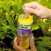 ofix-product-image-1