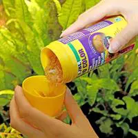 ofix-product-image-2