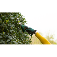 ofix-product-image-2