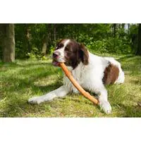 ofix-product-image-1