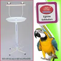 ofix-product-image-0