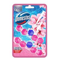 Domestos 5 in 1 Klozet Bloğu Manolya 2 x 50 g