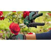 ofix-product-image-2