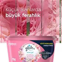 ofix-product-image-1