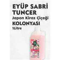 ofix-product-image-1