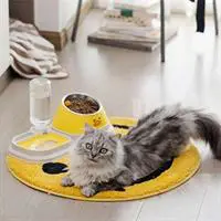 ofix-product-image-1