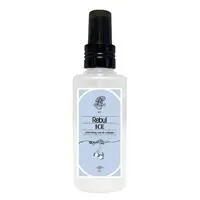 Rebul Ice Kolonyası Sprey 125 ml