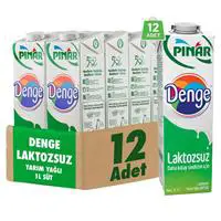 Pınar Denge Laktozsuz Süt 1 L x 12 Adet