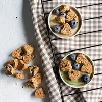 ofix-product-image-1