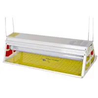 ofix-product-image-0