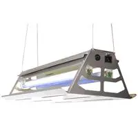 ofix-product-image-1