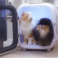 ofix-product-image-1