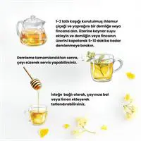 ofix-product-image-2