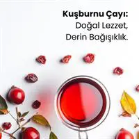 ofix-product-image-1