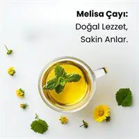 ofix-product-image-1
