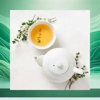 ofix-product-image-1