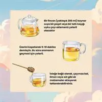 ofix-product-image-2