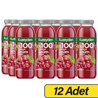 Kuzeyden %100 Sıkma Üzüm Suyu 250 ml x 12 Adet