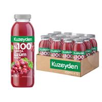 Kuzeyden %100 Sıkma Üzüm Suyu 250 ml x 12 Adet