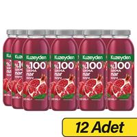 Kuzeyden %100 Sıkma Nar Suyu 250 ml x 12 Adet