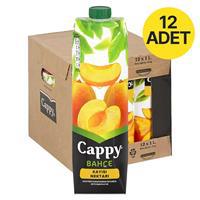 Cappy Meyve Suyu Kayısı Nektarı 1 L x 12 Adet