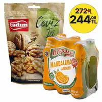 ofix-product-image-0