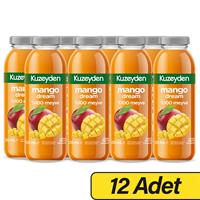 Kuzeyden %100 Mango Dream Suyu 250 ml x 12 Adet