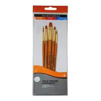 Daler-Rowney 216920501 Fırça Seti Set-2 5 Adet