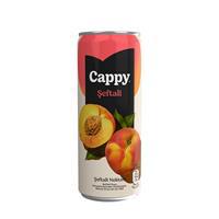 Cappy Bahçe Meyve Suyu Şeftali Aromalı 330 ml x 12 Adet