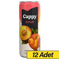 Cappy Bahçe Meyve Suyu Şeftali Aromalı 330 ml x 12 Adet