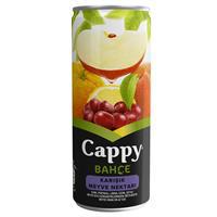 Cappy Bahçe Meyve Suyu Karışık Meyve Aromalı 250 ml x 12 Adet