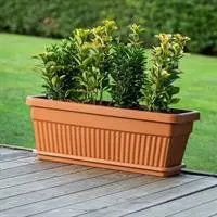 ofix-product-image-1