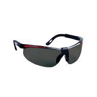 Aran Safety Neptune Koruyucu Gözlük - Siyah